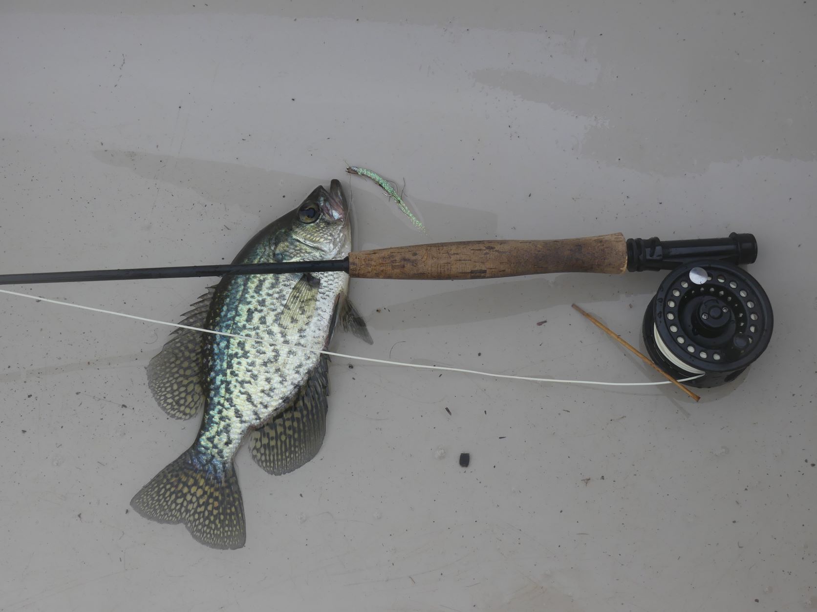 Crappie fishing with the 4wt and caught this tank : r/flyfishing